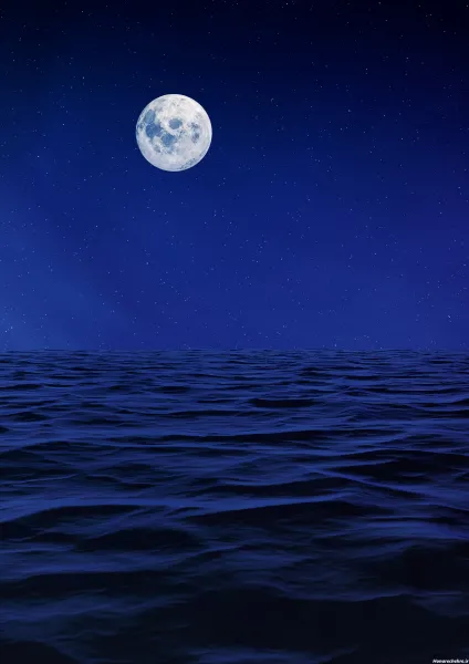  عکس دریا در شب زیبا