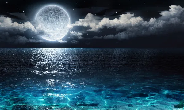  عکس دریا در شب زیبا