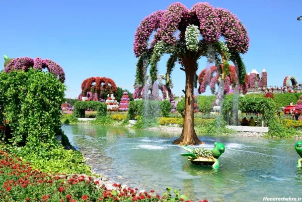  عکس باغ گل طبیعی