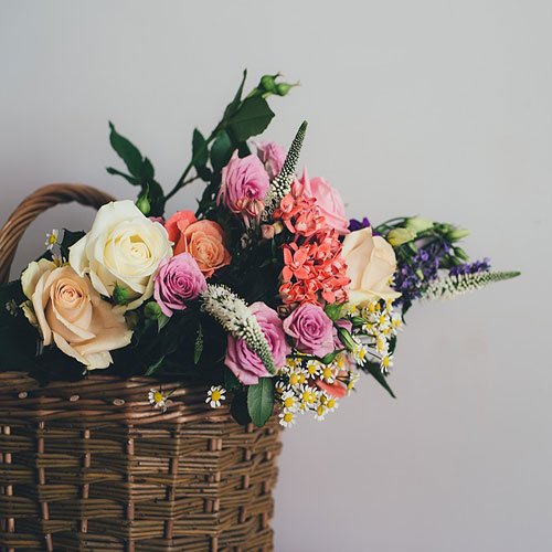  عکس باغ گل برای پروفایل
