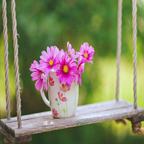  عکس باغ گل برای پروفایل