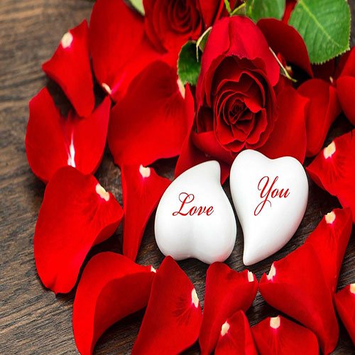  عکس باغ گل برای پروفایل