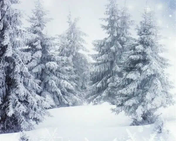  عکس زمستانی فوق زیبا