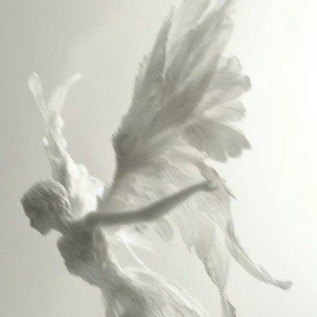  عکس فرشته