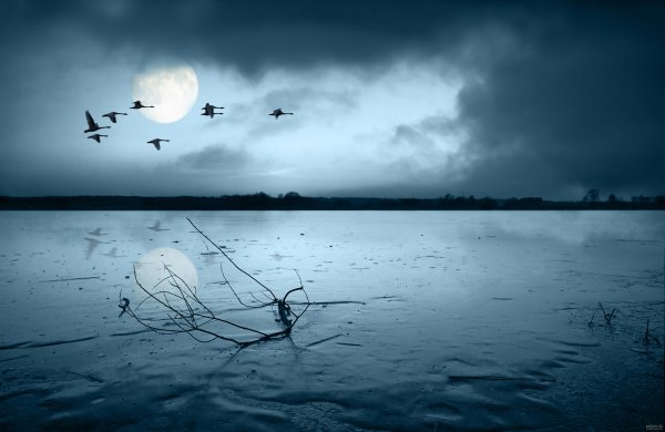  عکس دریا در شب برای پروفایل