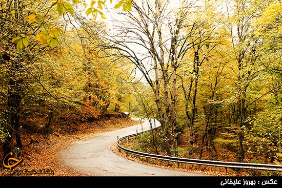  عکس جاده چالوس در پاییز