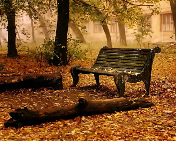  منظره فصل پاییز