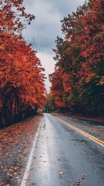 عکس طبیعت پاییزی بکر