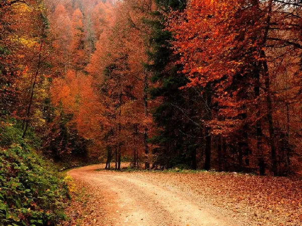  عکس طبیعت پاییزی بکر