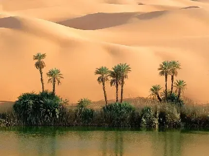 عکس کویر داغ زیبا