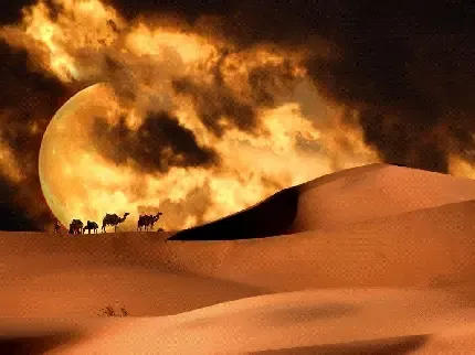  عکس کویر داغ زیبا