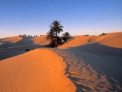  عکس کویر