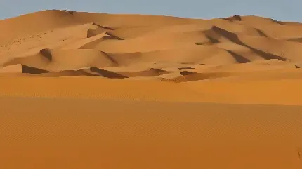  عکس کویر
