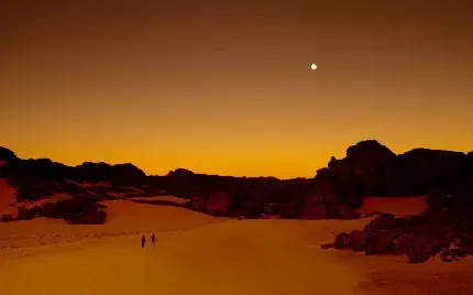  عکس کویر