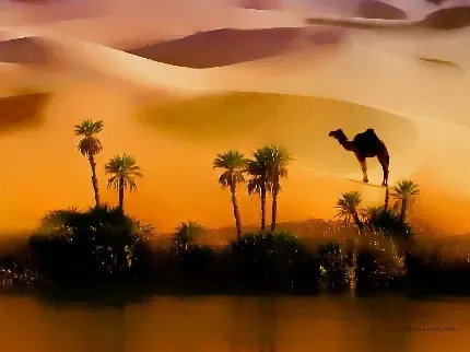  عکس کویر برای پروفایل