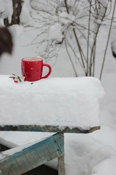  منظره زیبای برفی