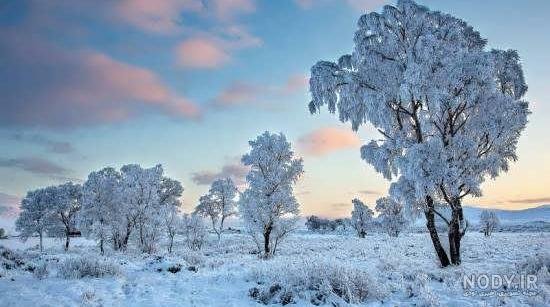  عکس طبیعت زمستانی برای پروفایل