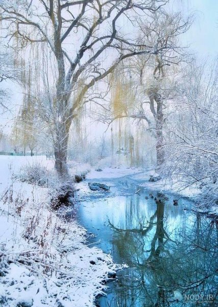  عکس طبیعت زمستانی برای پروفایل