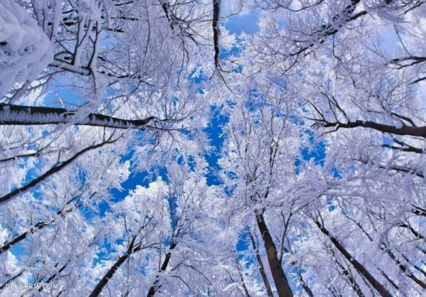  عکس طبیعت زمستانی برفی