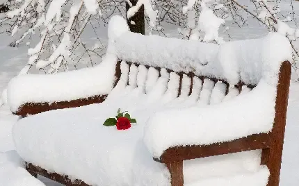  پروفایل شیک زمستان