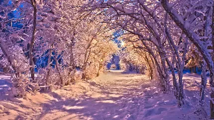  پروفایل شیک زمستان