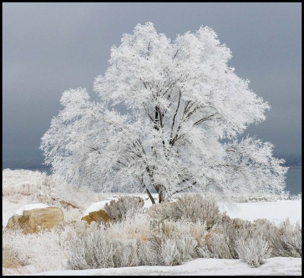  عکس طبیعت زمستانی اروپا