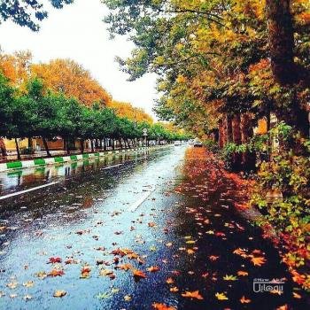  عکس پروفایل جنگل و طبیعت زیبا
