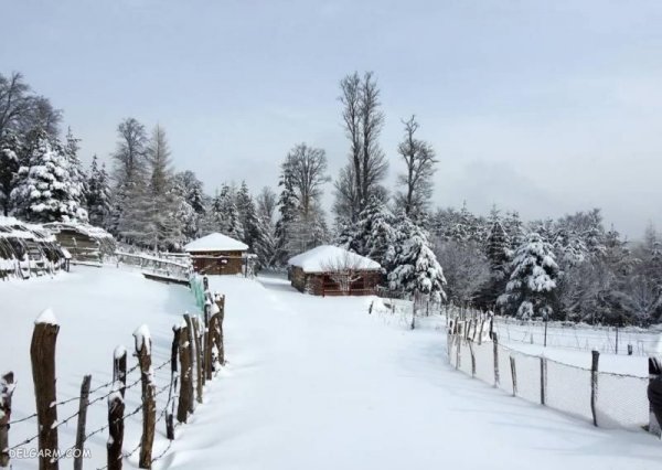  عکس زمستان برای اینستاگرام