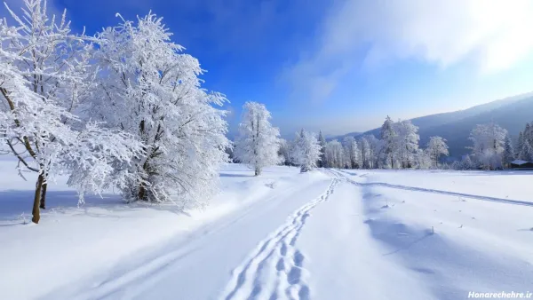 عکس های زیبای زمستان