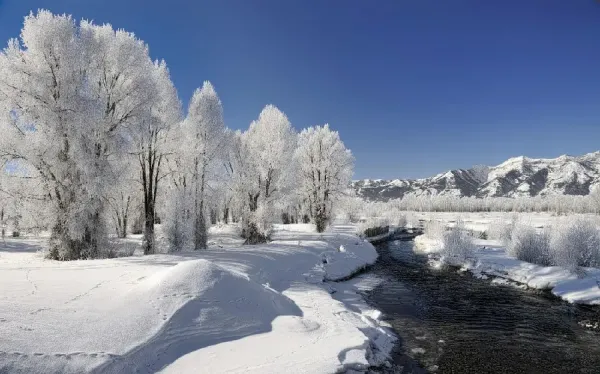  عکس طبیعت زمستانی