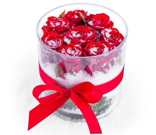  عکس گل برفی برای پروفایل