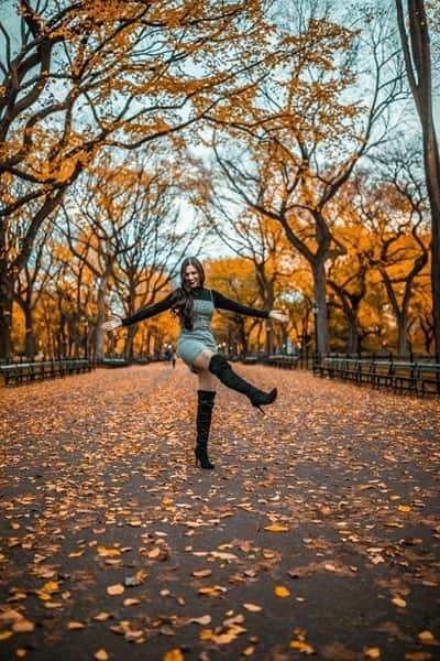  عکس پاییزی برای پروفایل گروه
