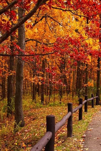  عکس پروفایل پاییز عاشقانه