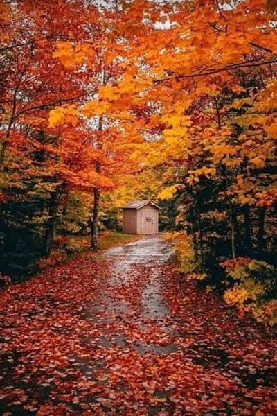  عکس پروفایل پاییز عاشقانه