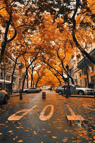  عکس پروفایل پاییز عاشقانه