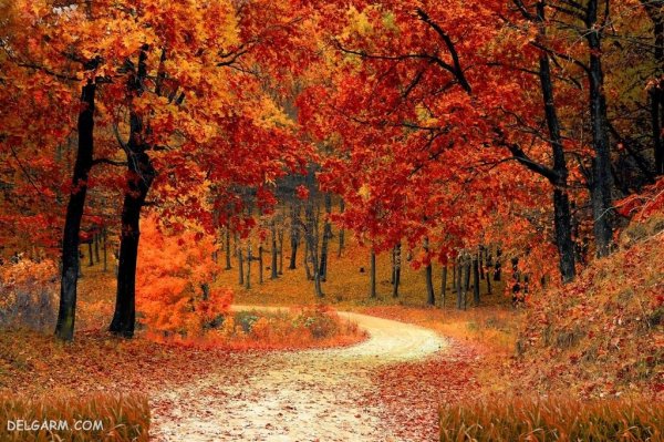  عکس فصل پاییز برای زمینه