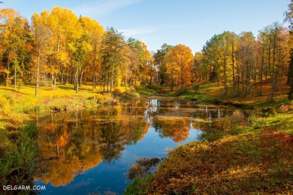  عکس فصل پاییز برای زمینه