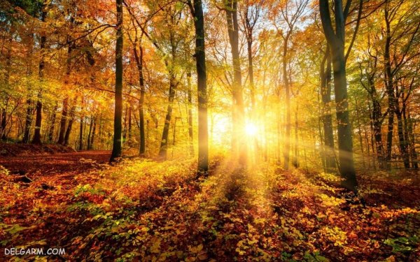  عکس فصل پاییز برای زمینه