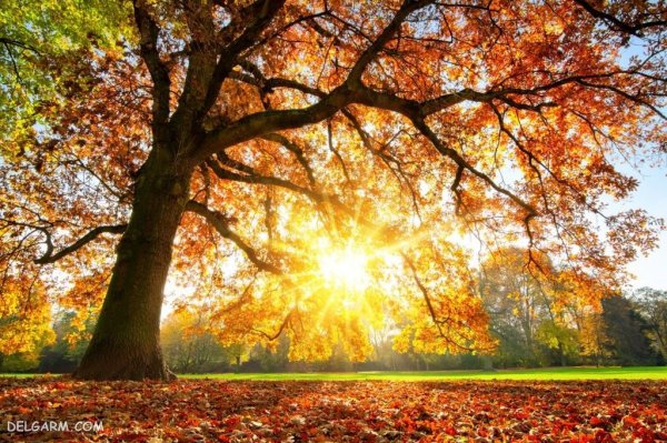  عکس فصل پاییز برای زمینه