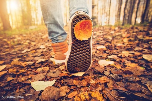  عکس فصل پاییز برای زمینه