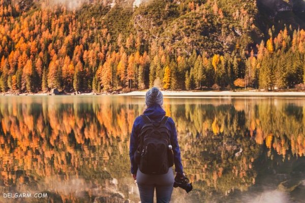  عکس برگ درختان در فصل پاییز