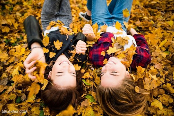  عکس برگ درختان در فصل پاییز