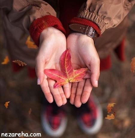  پروفایل پاییز