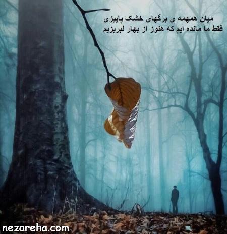  پروفایل پاییز