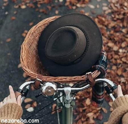  پروفایل پاییز