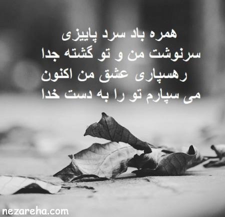  پروفایل پاییز