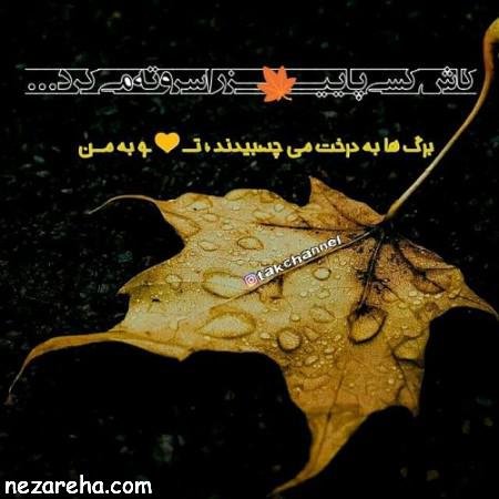  پروفایل پاییز