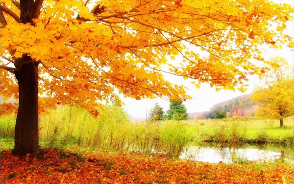  دانلود عکس فصل پاییز