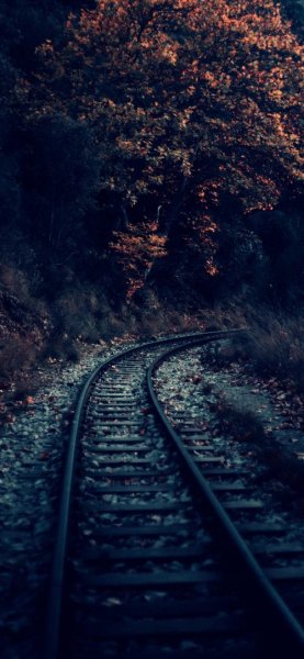 عکس فصل پاییز برای صفحه گوشی