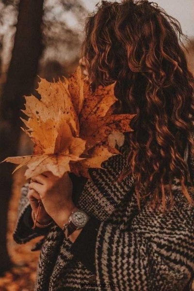 پروفایل پاییزی